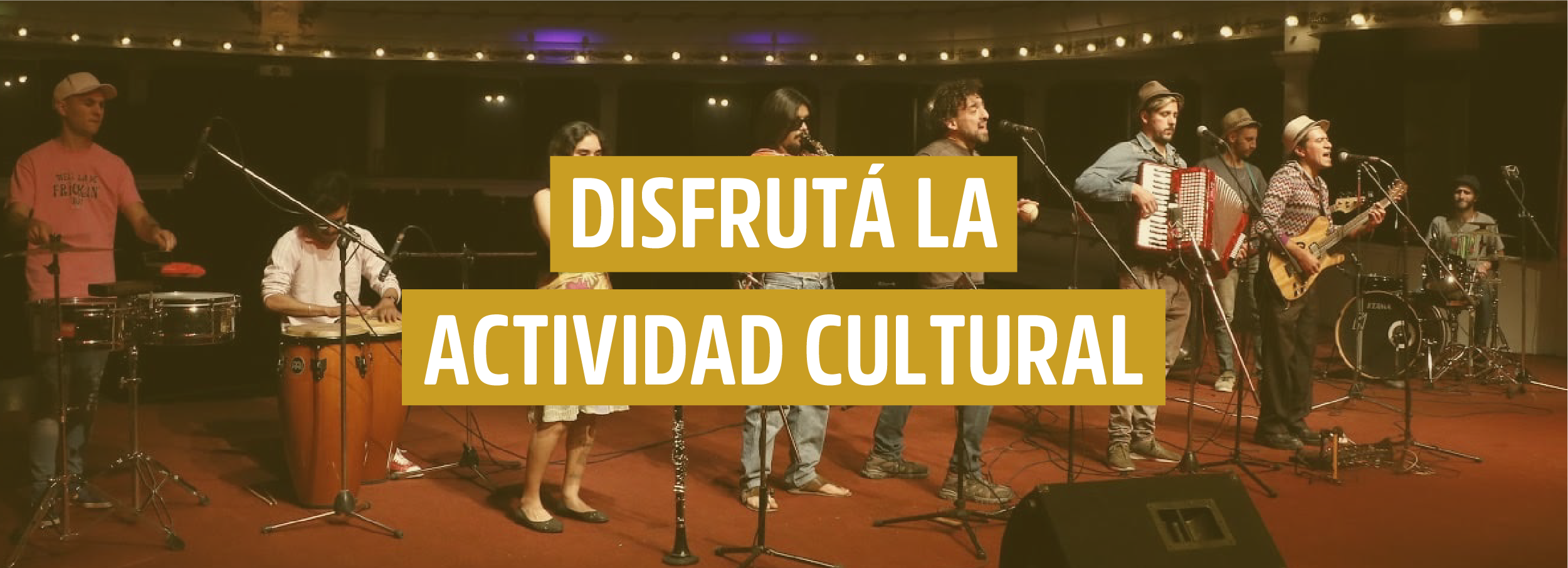 Novedades